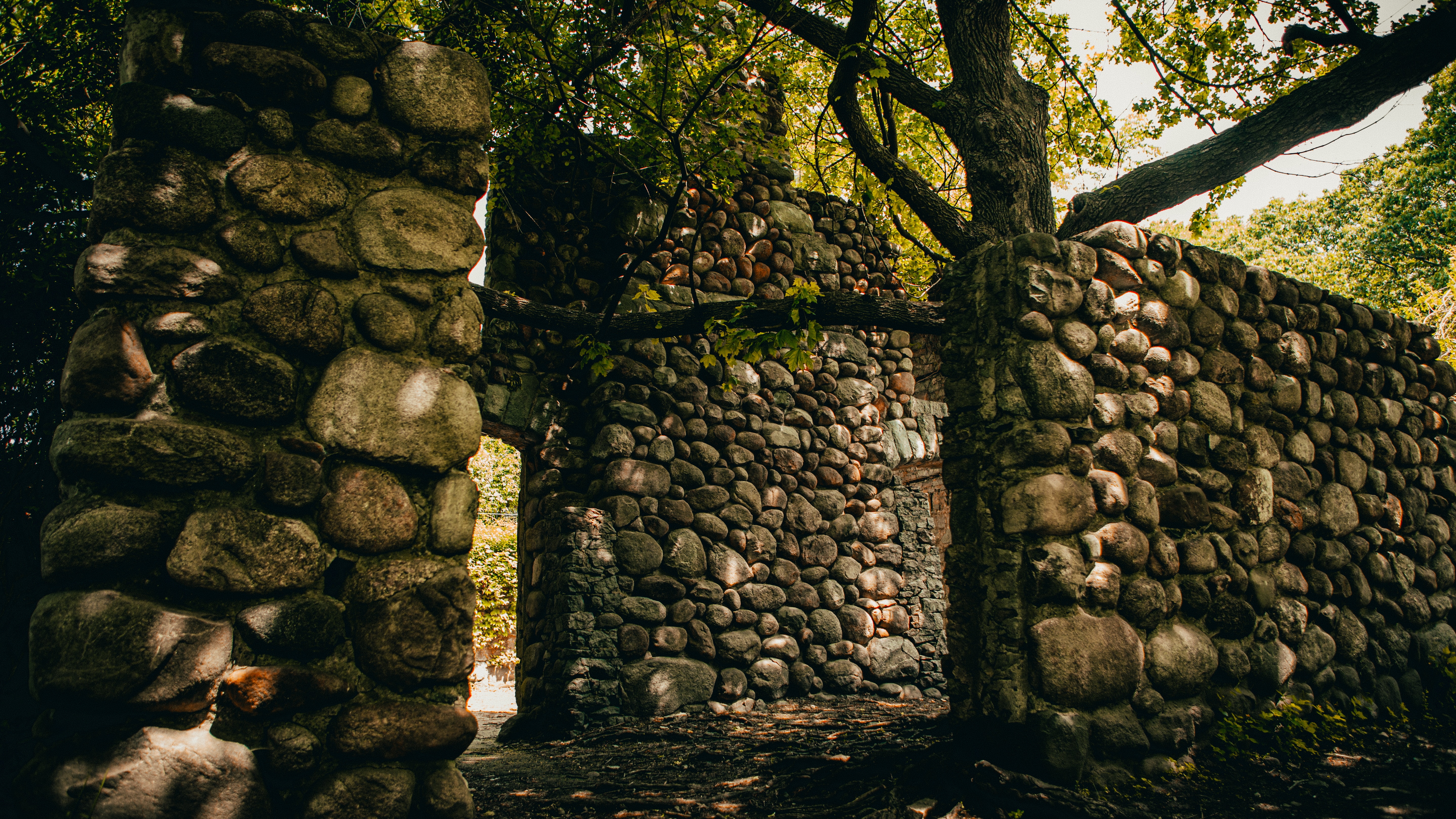 Delivering Value to Clients through the "Strong Opinions, Weakly Held" Approach